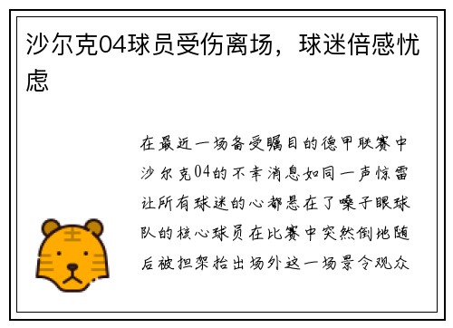 沙尔克04球员受伤离场，球迷倍感忧虑
